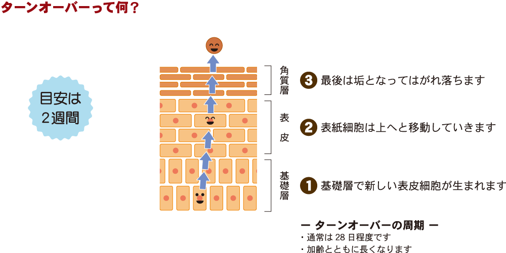 ターンオーバー図